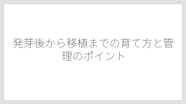 発芽後から移植までの育て方と管理のポイント