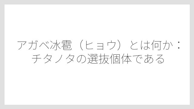 アガベ冰雹（ヒョウ）とは何か：チタノタの選抜個体である