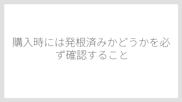 購入時には発根済みかどうかを必ず確認すること