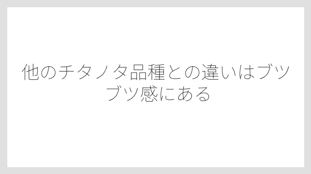 他のチタノタ品種との違いはブツブツ感にある