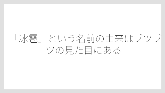 「冰雹」という名前の由来はブツブツの見た目にある