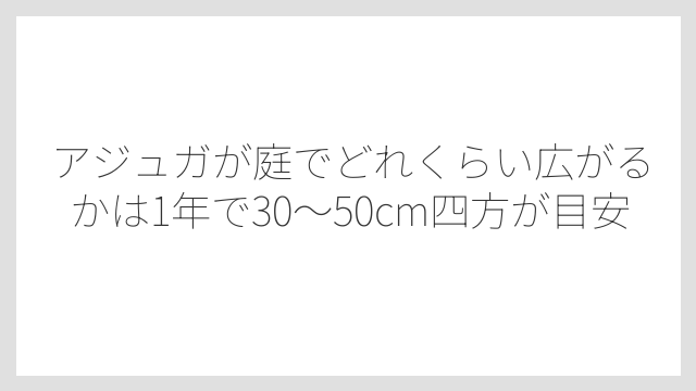 アジュガが庭でどれくらい広がるかは1年で30〜50cm四方が目安