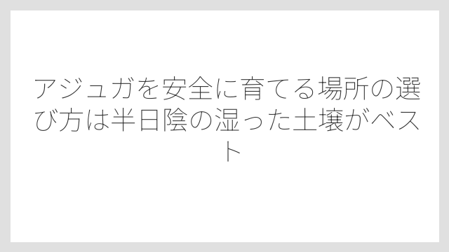 アジュガを安全に育てる場所の選び方は半日陰の湿った土壌がベスト