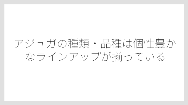 アジュガの種類・品種は個性豊かなラインアップが揃っている