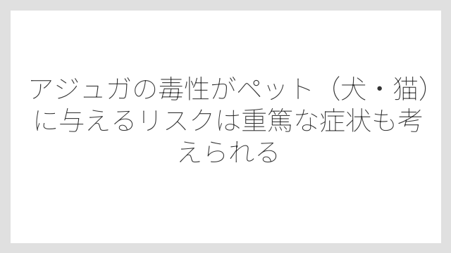 アジュガの毒性がペット（犬・猫）に与えるリスクは重篤な症状も考えられる