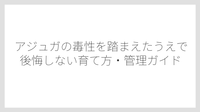 アジュガが庭でどれくらい広がるかは1年で30〜50cm四方が目安