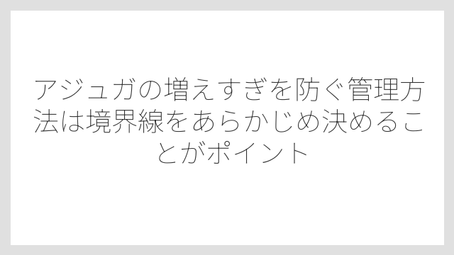 アジュガの増えすぎを防ぐ管理方法は境界線をあらかじめ決めることがポイント