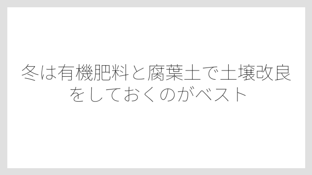 冬は有機肥料と腐葉土で土壌改良をしておくのがベスト