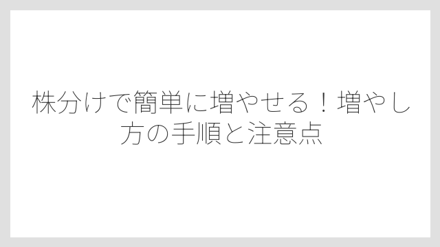 株分けで簡単に増やせる！増やし方の手順と注意点