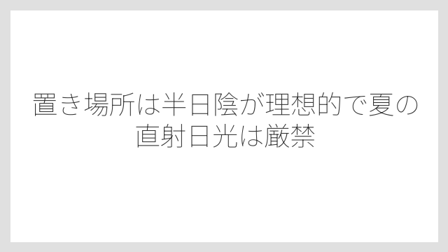 置き場所は半日陰が理想的で夏の直射日光は厳禁