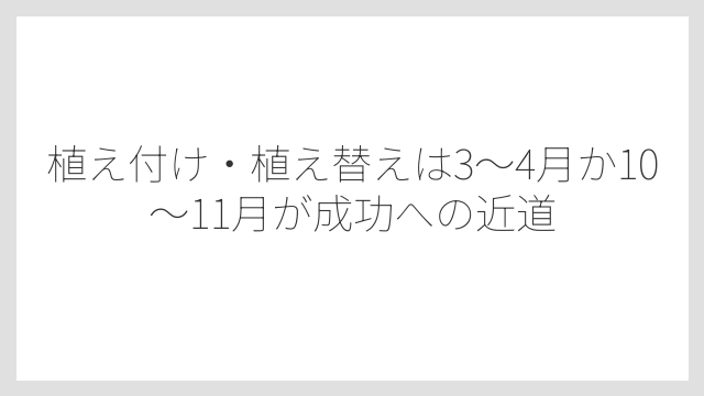 植え付け・植え替えは3〜4月か10〜11月が成功への近道