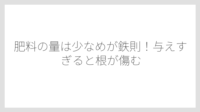 肥料の量は少なめが鉄則！与えすぎると根が傷む
