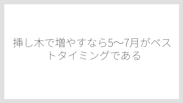 挿し木で増やすなら5〜7月がベストタイミングである