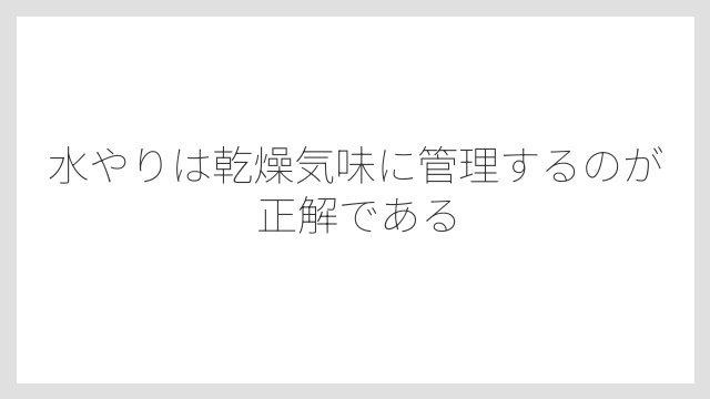 水やりは乾燥気味に管理するのが正解である