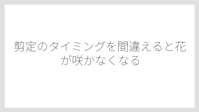 剪定のタイミングを間違えると花が咲かなくなる