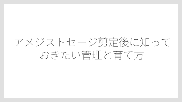 剪定のタイミングを間違えると花が咲かなくなる