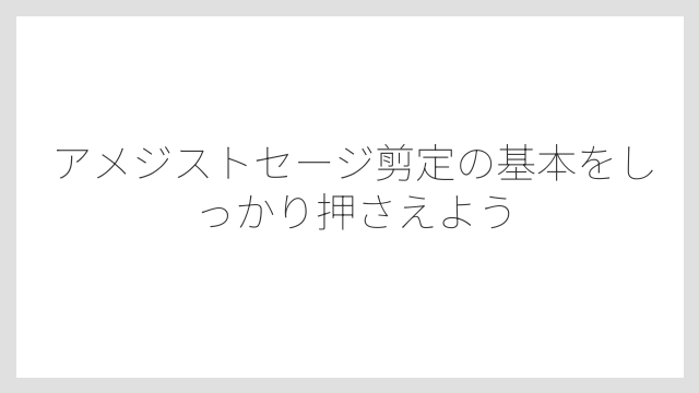 アメジストセージ剪定の基本をしっかり押さえよう
