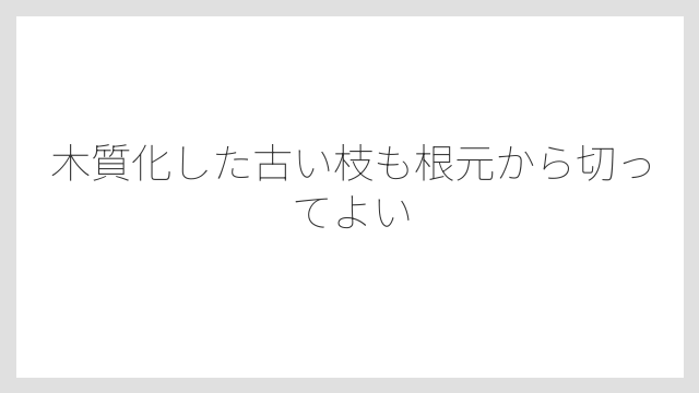 木質化した古い枝も根元から切ってよい