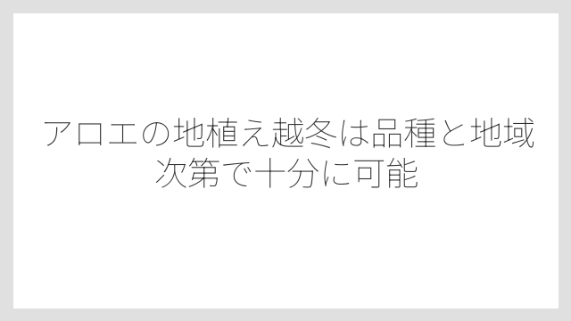 アロエの地植え越冬は品種と地域次第で十分に可能