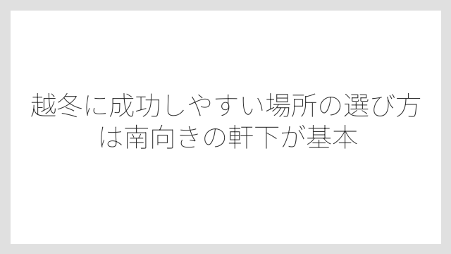 越冬に成功しやすい場所の選び方は南向きの軒下が基本