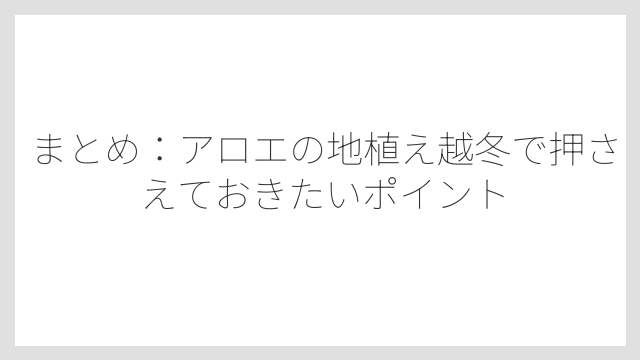まとめ：アロエの地植え越冬で押さえておきたいポイント