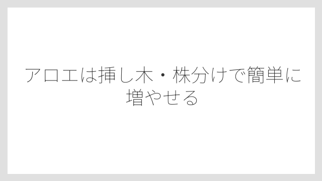 アロエは挿し木・株分けで簡単に増やせる