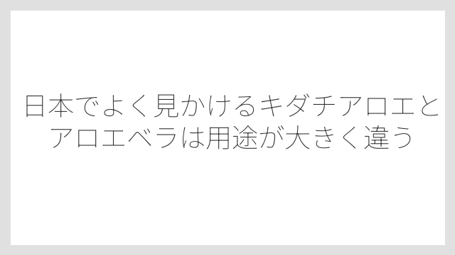 日本でよく見かけるキダチアロエとアロエベラは用途が大きく違う