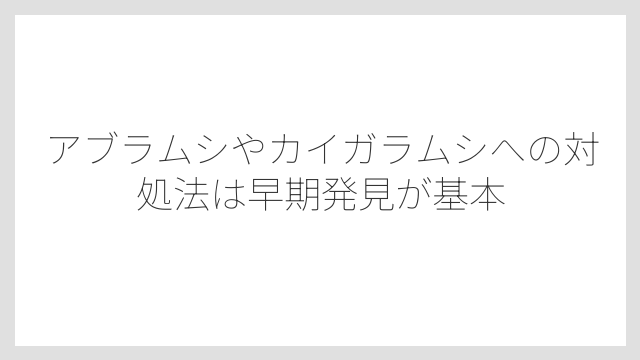 アブラムシやカイガラムシへの対処法は早期発見が基本