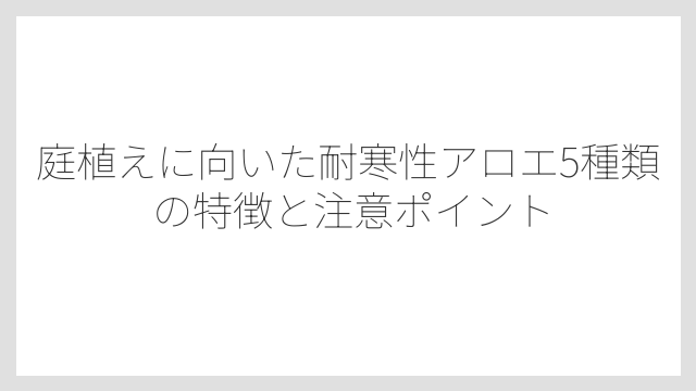 庭植えに向いた耐寒性アロエ5種類の特徴と注意ポイント