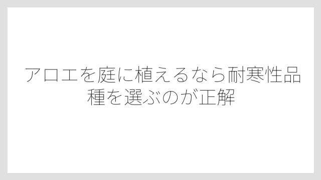 アロエを庭に植えるなら耐寒性品種を選ぶのが正解