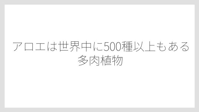 アロエは世界中に500種以上もある多肉植物