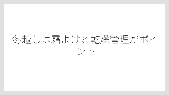 冬越しは霜よけと乾燥管理がポイント