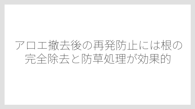 アロエ撤去後の再発防止には根の完全除去と防草処理が効果的