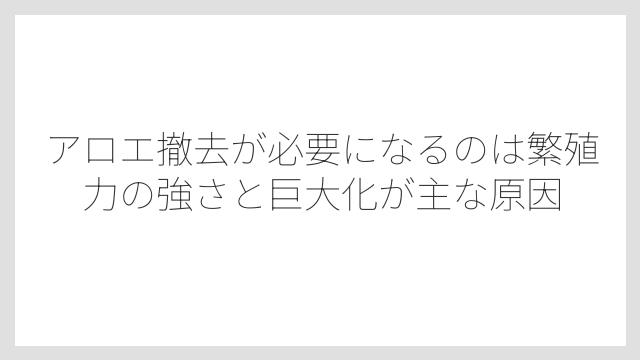 アロエ撤去が必要になるのは繁殖力の強さと巨大化が主な原因