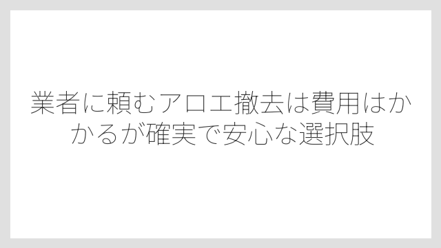 業者に頼むアロエ撤去は費用はかかるが確実で安心な選択肢