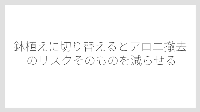 鉢植えに切り替えるとアロエ撤去のリスクそのものを減らせる