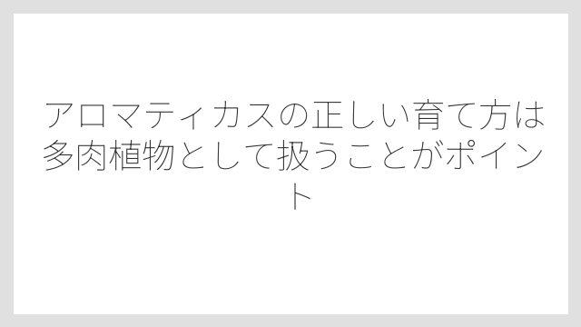 アロマティカスの正しい育て方は多肉植物として扱うことがポイント