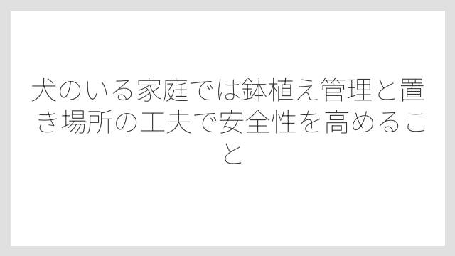 犬のいる家庭では鉢植え管理と置き場所の工夫で安全性を高めること