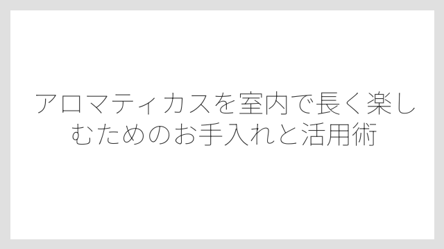 土は多肉植物用の水はけが良いものを選ぶのが正解