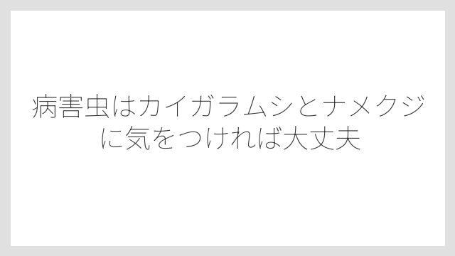 病害虫はカイガラムシとナメクジに気をつければ大丈夫