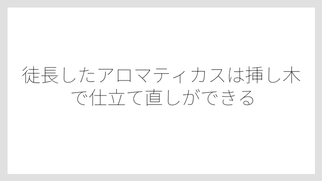 徒長したアロマティカスは挿し木で仕立て直しができる