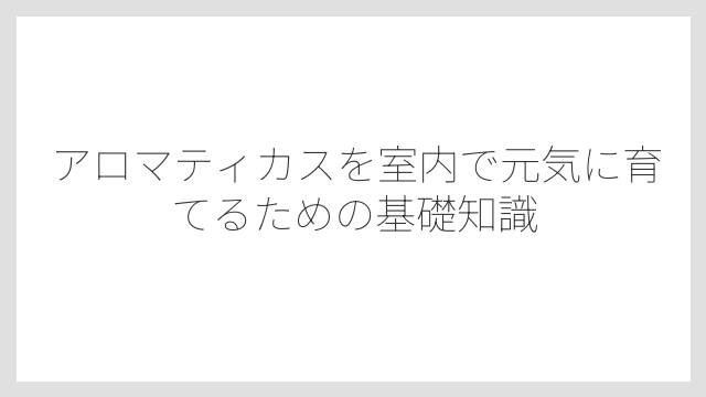 アロマティカスを室内で元気に育てるための基礎知識