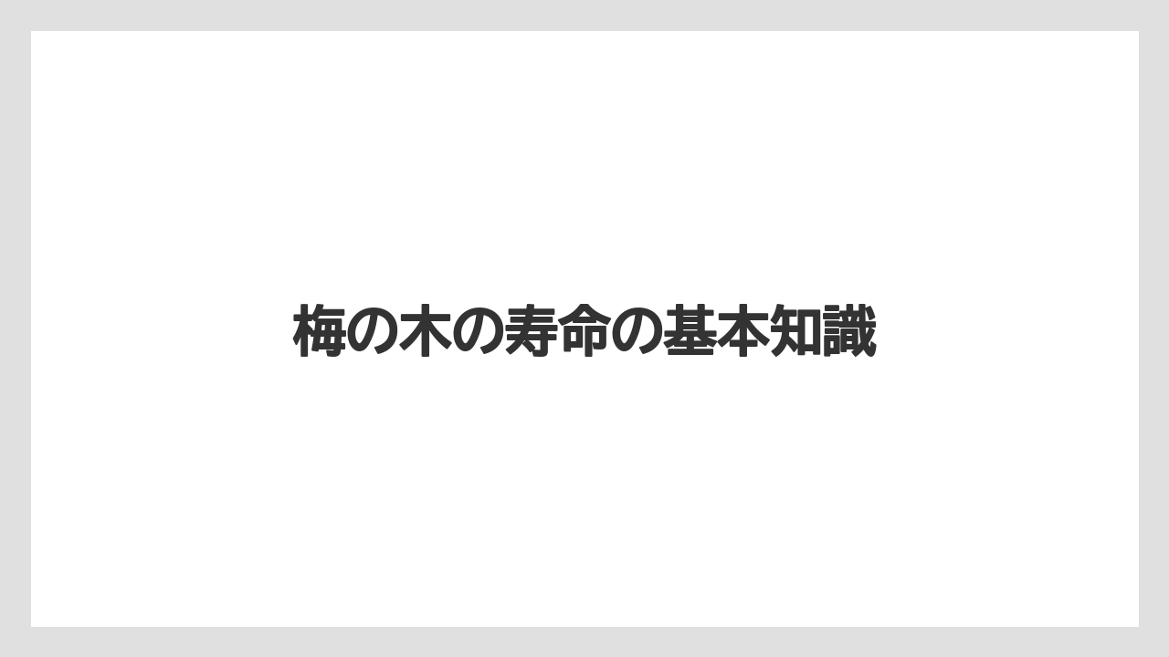 梅の木の寿命の基本知識