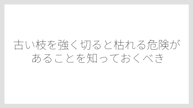 古い枝を強く切ると枯れる危険があることを知っておくべき