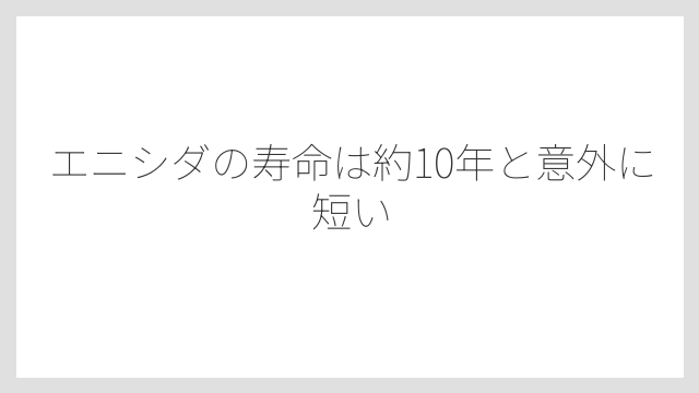 エニシダの寿命は約10年と意外に短い