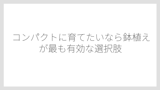 コンパクトに育てたいなら鉢植えが最も有効な選択肢