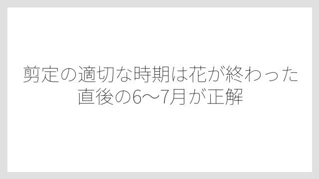 剪定の適切な時期は花が終わった直後の6〜7月が正解