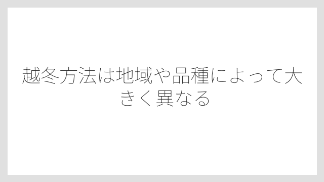 越冬方法は地域や品種によって大きく異なる