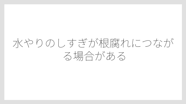 水やりのしすぎが根腐れにつながる場合がある