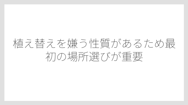 植え替えを嫌う性質があるため最初の場所選びが重要